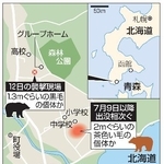 　北海道福島町のヒグマ襲撃現場