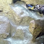 　無人探査機のカメラで撮影した沖縄・南大東島周辺の深海探査の様子＝２０２４年５月（Ｄ-ＡＲＫ／海洋研究開発機構提供）