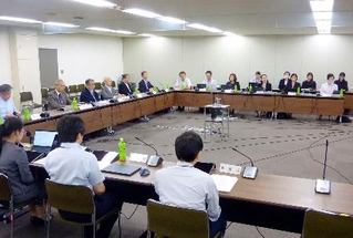 　緊急避妊薬の市販化について議論した厚労省の専門部会＝２９日、厚労省