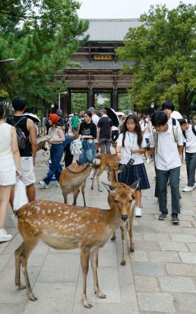 　観光客などでにぎわう奈良・東大寺の参道。奥は南大門＝１０日