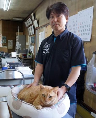 　東和交通の佃滋裕社長と事務所内でくつろぐ「ニャルソック隊」隊長の「みゃー」＝２０２５年１０月８日、広島県福山市