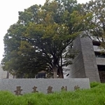 　最高裁＝９日
