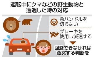 　運転中にクマなどの野生動物と遭遇した時の対応
