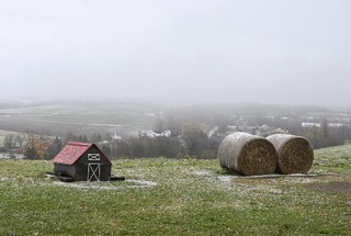 　牧場内で、ブライダル写真の撮影場所として人気のスポット＝北海道美瑛町のファームズ千代田