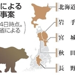 　クマによる死亡事案