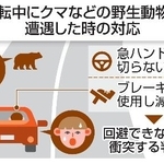 　運転中にクマなどの野生動物と遭遇した時の対応