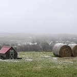 　牧場内で、ブライダル写真の撮影場所として人気のスポット＝北海道美瑛町のファームズ千代田
