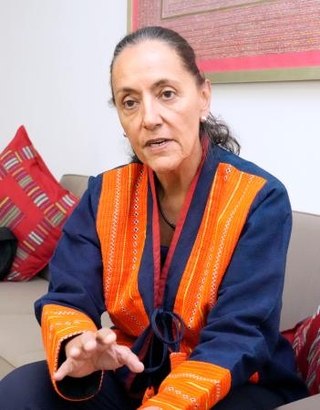 　インタビューに答えるメルバ・プリーア駐日メキシコ大使