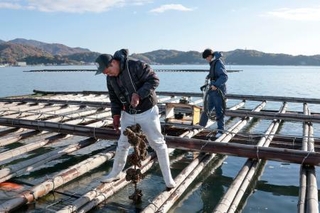 　カキの様子を確認する美野森也さん（左）＝広島県東広島市