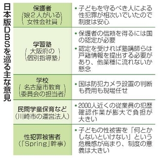 　日本版ＤＢＳを巡る主な意見