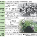 　日本のジャイアントパンダを巡る経過