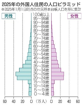 　２０２５年の外国人住民の人口ピラミッド