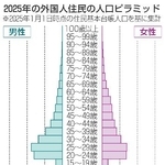 　２０２５年の外国人住民の人口ピラミッド