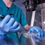 　体外受精の様子（本文とは直接関係ありません）（ゲッティ＝共同）