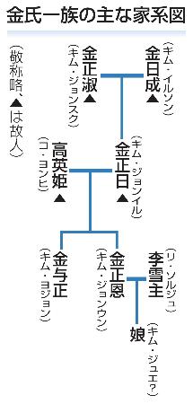 　金氏一族の主な家系図