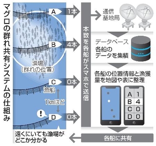 　マグロの群れ共有システムの仕組み