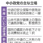 　中小政党の主な立場