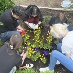 公園の花壇に、平和を祈ってウクライナの国章の形でお花を植える語学教室のメンバー（中央がタヤさん）＝２０２３年６月、札幌市（栄原さん提供）