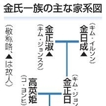 　金氏一族の主な家系図