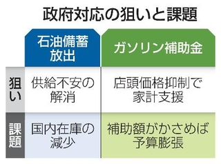 　政府対応の狙いと課題