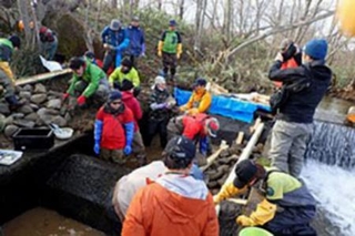　環境省と市民が行った魚道の整備＝２０２１年１２月、北海道東部（同省提供）