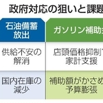 　政府対応の狙いと課題