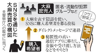 　ＳＮＳを通じた大麻売買の構図