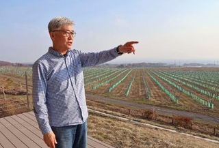 　ブドウ畑（奥）について説明する矢野映さん＝北海道函館市