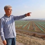 　ブドウ畑（奥）について説明する矢野映さん＝北海道函館市