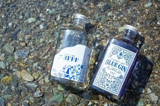 仁淀川蒸溜所が製造しているジン「ニヨドドド」と「ＢＬＵＥ　ＧＩＮ　ＩＭＵＡ」＝３月（松本大樹氏撮影）