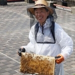 　名古屋市役所の屋上で、蜂蜜が詰まった巣枠を持つ名古屋学院大の水野晶夫教授＝１３日