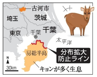 　千葉・キョンの分布拡大防止ライン