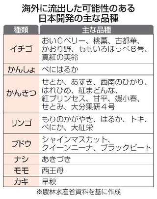 　海外に流出した可能性のある日本開発の主な品種