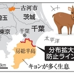 　千葉・キョンの分布拡大防止ライン
