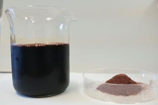 　鉄サプリの原料として研究されているサーモンの血液。右は血液を乾燥させた粉末