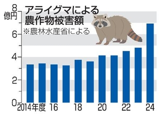 　アライグマによる農作物被害額