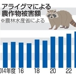 　アライグマによる農作物被害額