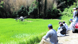 ドローンを使った肥料散布（２０２４年８月）