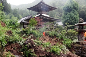 弘誓寺そばの斜面が崩れ、土砂や樹木が流れた＝７日午前８時４分、篠山市宇土