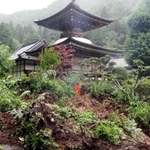 弘誓寺そばの斜面が崩れ、土砂や樹木が流れた＝７日午前８時４分、篠山市宇土
