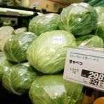 猛暑の影響で高騰するキャベツなどの葉物野菜＝神戸市内のスーパー