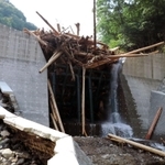 格子状の鋼管が大量の流木と土砂をせき止めた透過型砂防ダム＝７月１４日、宍粟市波賀町小野
