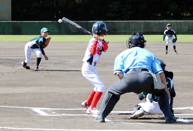 熱戦を繰り広げる選手ら＝洲本市民球場