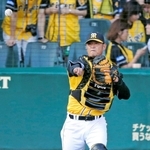 ２０１６年に阪神で現役を引退した鶴岡一成捕手。アマチュア時代は各世代で主将を担うなど人間性も優れたプレーヤーだった＝甲子園球場