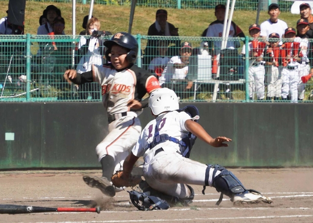 ２回、クロスプレーで三塁走者をアウトにした大塩の神本竜也捕手（撮影・谷川直生）