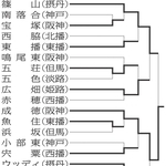 神戸新聞NEXT