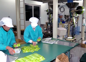 入浴剤を充てんする機械と、商品を袋詰めする従業員。工場には癒やされるような香りが広がっている＝神戸市西区岩岡町岩岡