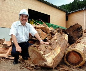 太くて長い根曲がりの部分を生かしたいという伍々博一さん＝兵庫県香美町村岡区長板、木質バイオマスセンター