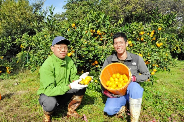 新規就農し、ミカンを初収穫した小川敬生さん（左）と榊原昂輝さん＝赤穂市塩屋