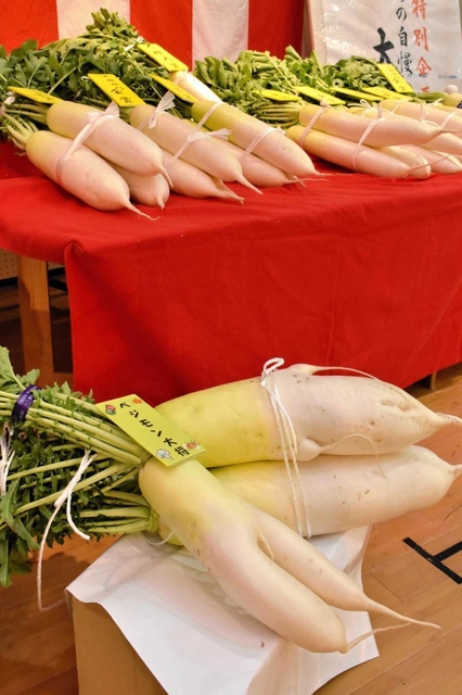 立派に実った大根とともに飾られたベジモン大将の大根＝山田錦の館